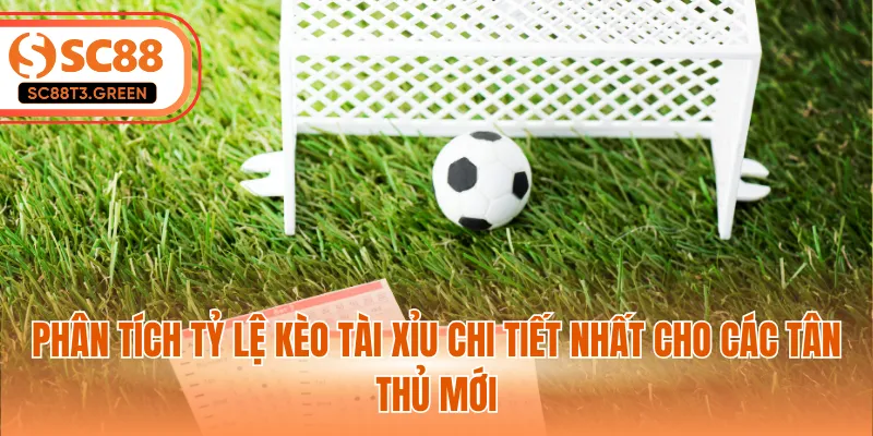 Phân tích tỷ lệ kèo tài xỉu chi tiết nhất cho các tân thủ mới